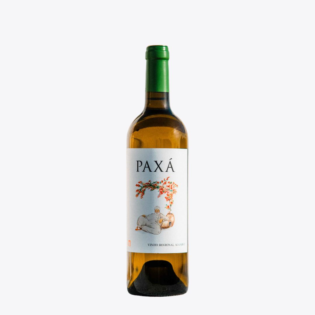 Paxá Branco Colheita 2025