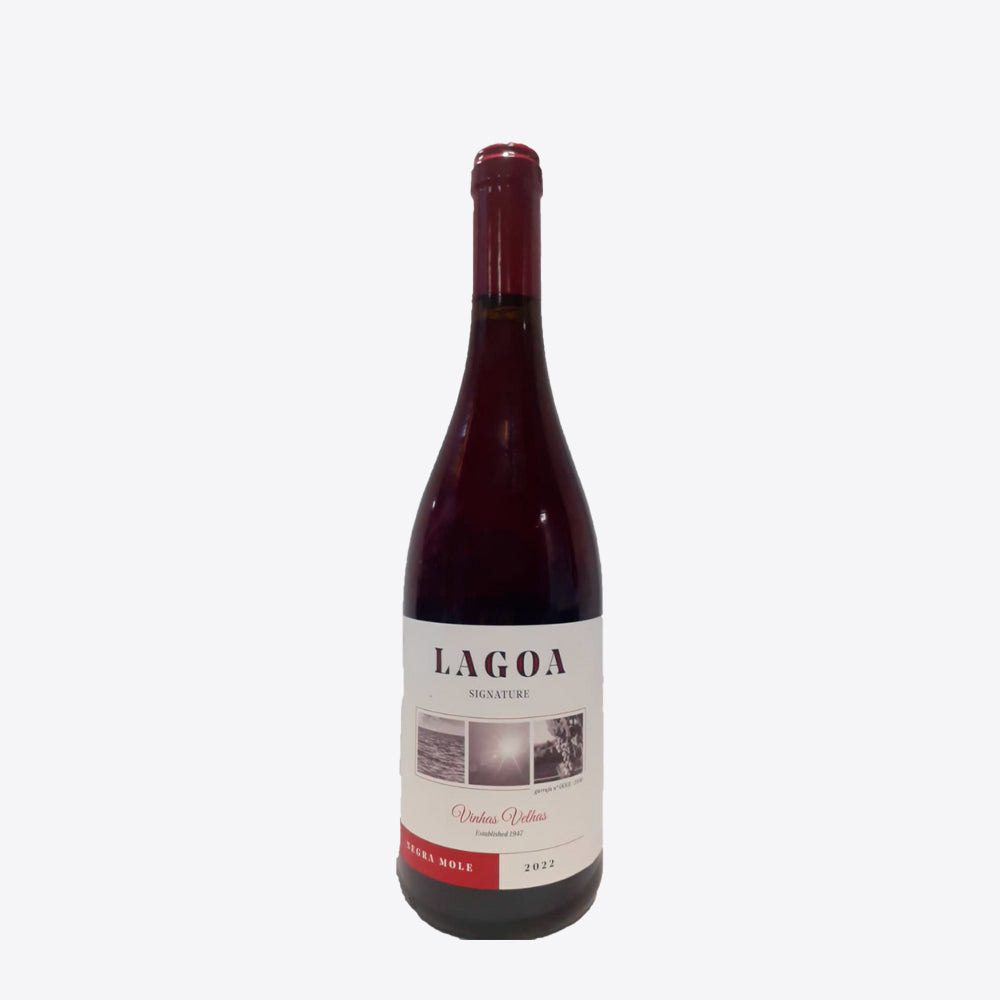Lagoa Red Signature Negra Mole Old Vines 2022